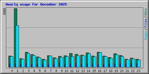 Hourly usage for December 2025