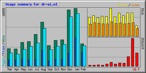 Usage summary for dr-ai.nl